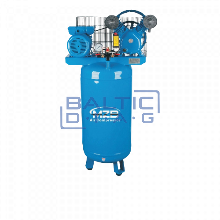 Air compressor 100L (vertical receiver) 310L / min 8bar