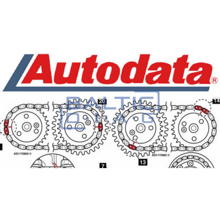 Autodata duomenų bazė "aptarnavimas ir priežiūra" 5 vartotojams