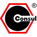 CONSUL GMBH