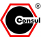 CONSUL GMBH